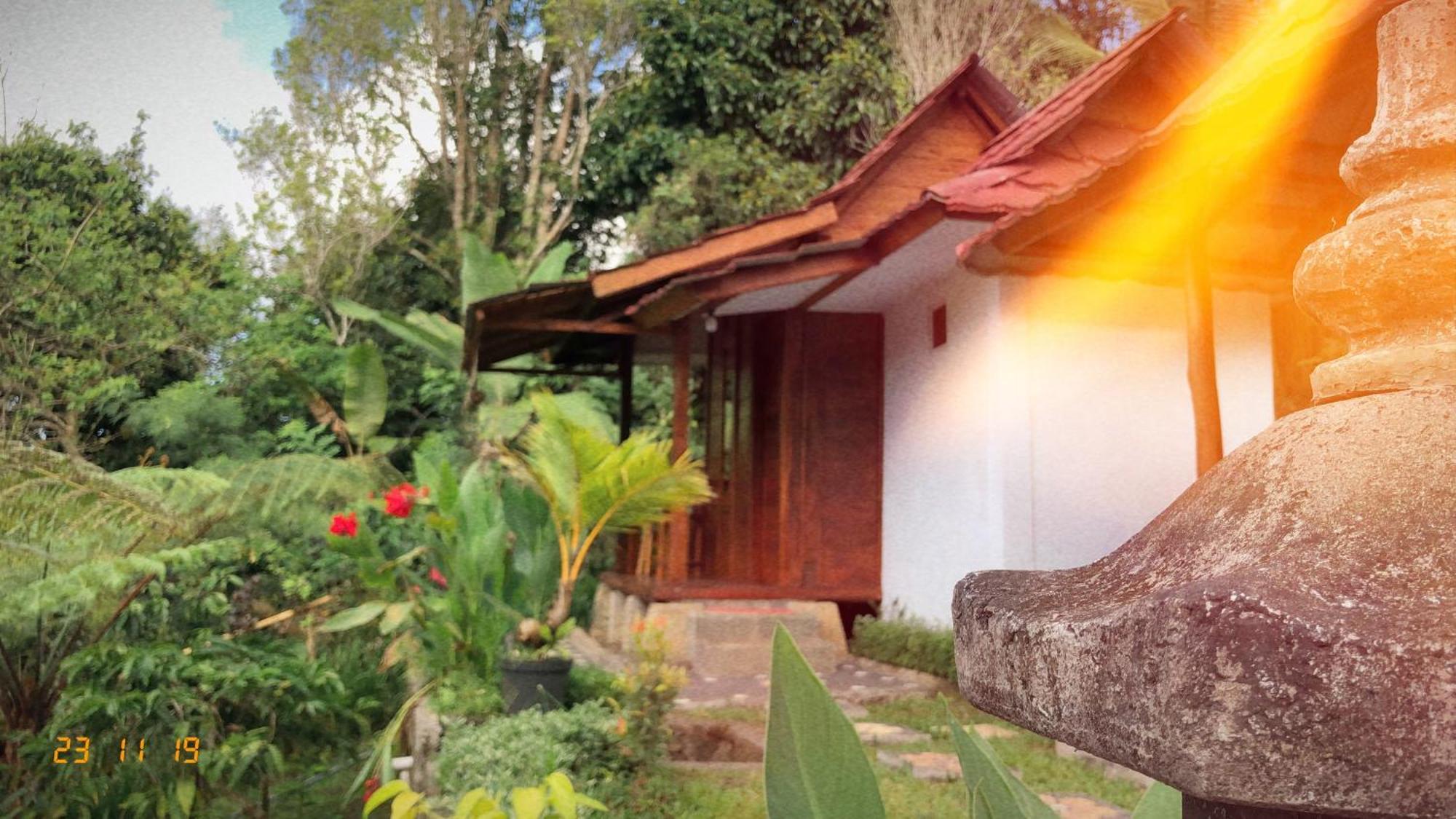 Sedana Yoga Resort Jembrana  Ngoại thất bức ảnh